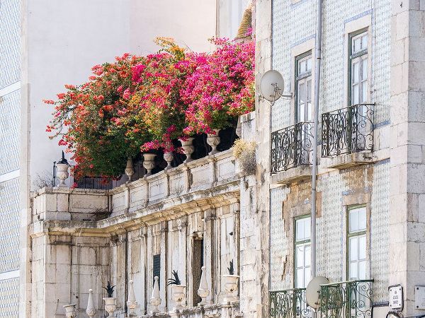 Eggers, Julie 아티스트의 Portugal-Lisbon-Colorful Bougainvillea trailing over balcony of white building작품입니다.